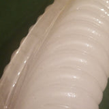 Pair of Mid Century Modern Vintage Italian Crystal Art Glass Sconces