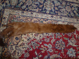 Handmade Solid Brown Mink Fur Scarf - Diamonds Sapphires Rubies Emeralds